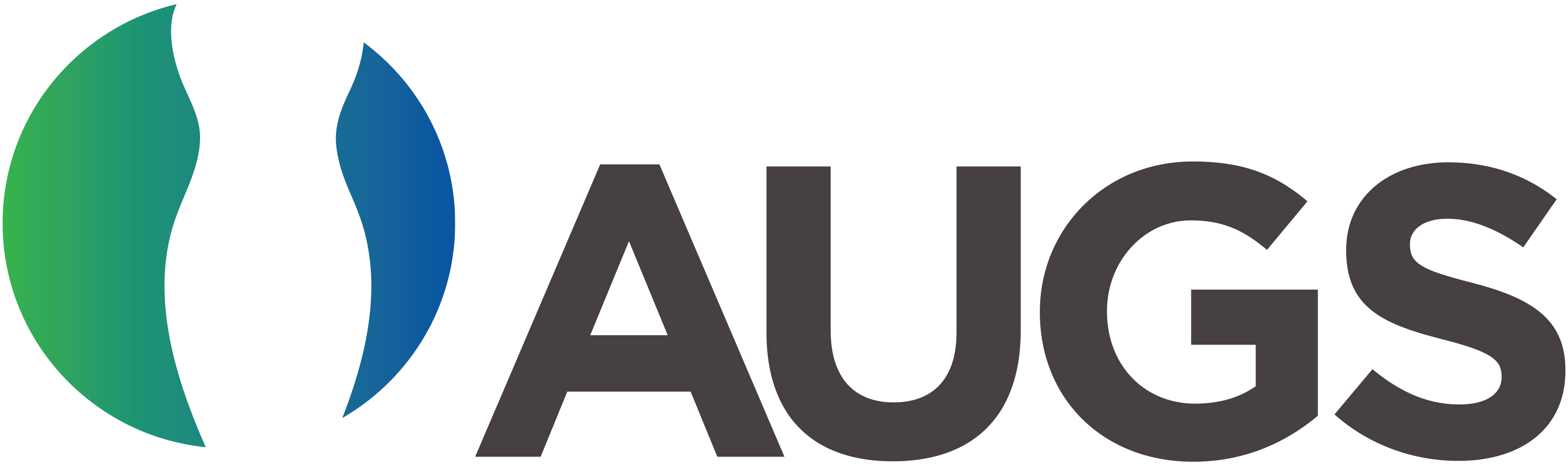 American Urogynecologic Society